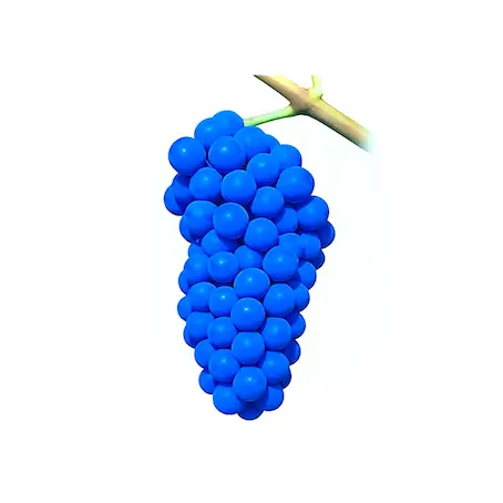 MAISON DE PINOT BLEU
